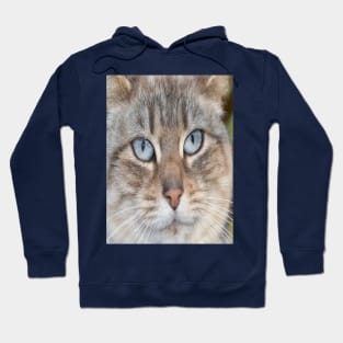 Strong cat Hoodie